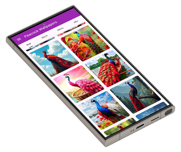 Peacock Wallpapers — screenshot 1