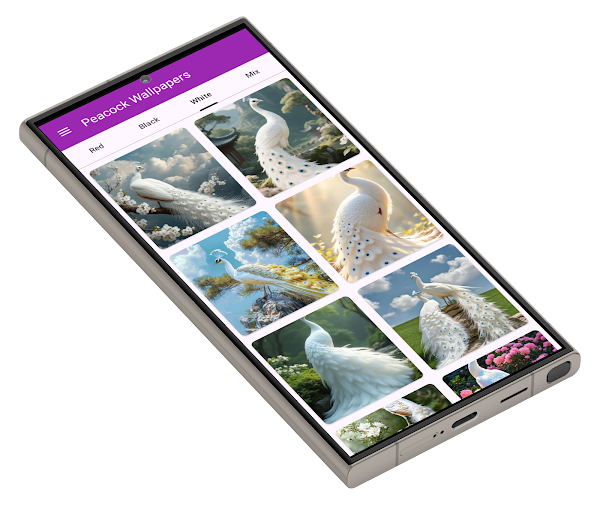 Peacock Wallpapers — screenshot 2
