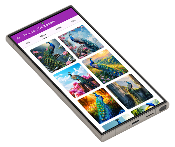 Peacock Wallpapers — screenshot 3