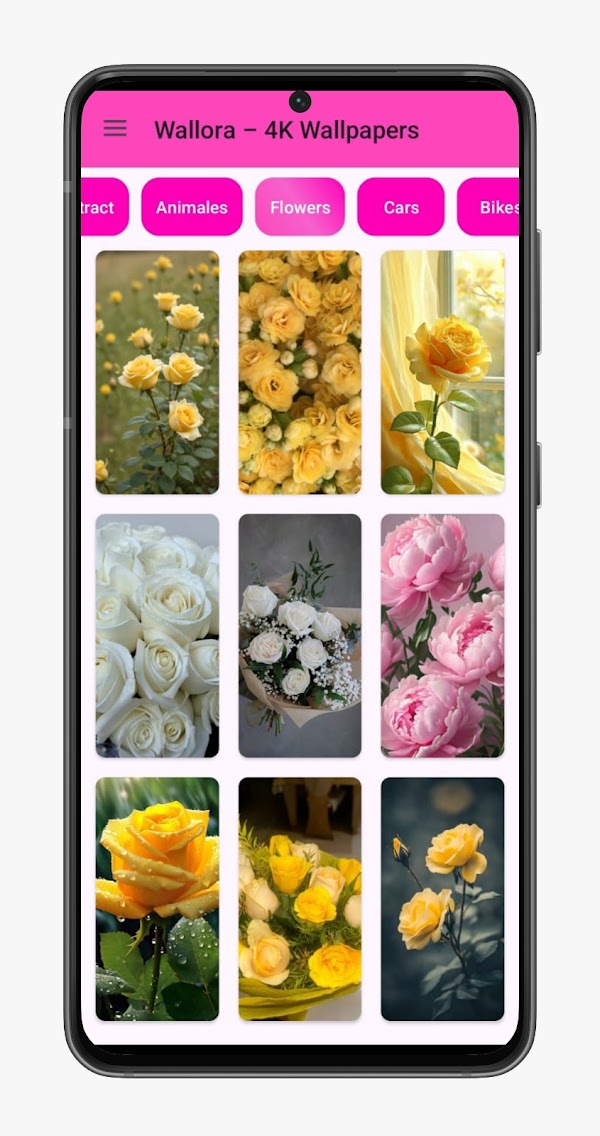 Wallora – 4K Wallpapers — screenshot 3